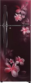 LG GL-T302RSPN 284L 4 Star Double Door Refrigerator