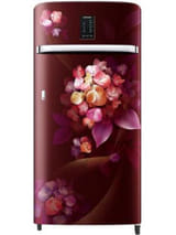 Samsung RR21C2E24HT 189 L 4 Star Inverter Direct Cool Single Door Refrigerator