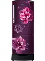 Samsung RR24C2823CR 223 L 3 Star Inverter Direct Cool Single Door Refrigerator