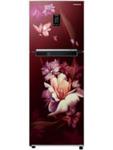 Samsung RT34C4622RZ 291 L 2 Star Inverter Direct Cool Double Door Refrigerator