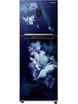 Samsung RT34C4622UZ 291 L 2 Star Inverter Direct Cool Double Door Refrigerator