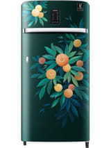 Samsung RR21C2E25NL 189 L 5 Star Inverter Direct Cool Single Door Refrigerator