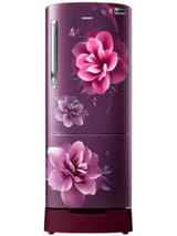 Samsung RR20C2823CR 183 L 3 Star Inverter Direct Cool Single Door Refrigerator