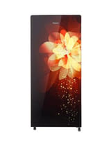 Haier HRD-1955CGG-E 195 L 5 Star Direct Cool Single Door Refrigerator