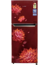Lloyd GLFF282ASRT1PB 276 L 2 Star Inverter Frost Free Double Door Refrigerator