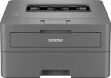 Brother HL-L2400D Single Function Laser Printer