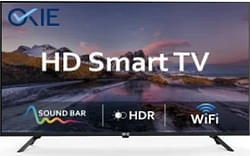 OKIE COE0065SFLGT 65 inch Ultra HD 4K Smart LED TV